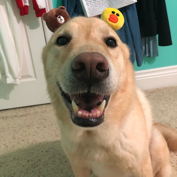 Meet the Posher, Joann - Picture 5 of 16